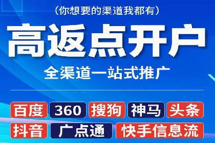 XX行业竞价广告的投放策略与效果分析